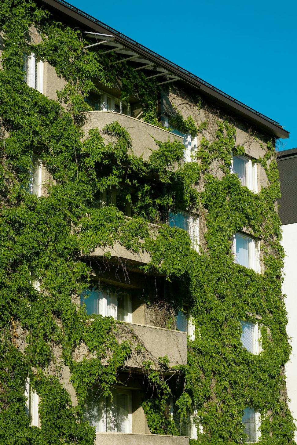 Green Building Impact